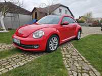Volkswagen New Beetle model BE2013