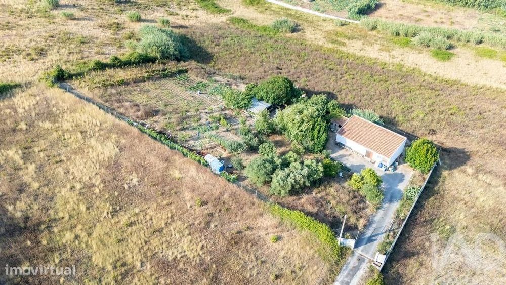 Armazém T1 em Lourinhã e Atalaia de 317,00 m2