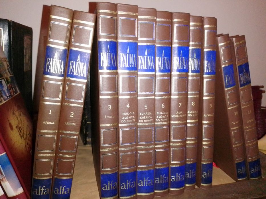 Investigaçao Qualitativa em educaçao-P.E10E-A Fauna 11V-Alfa15EDesde2E