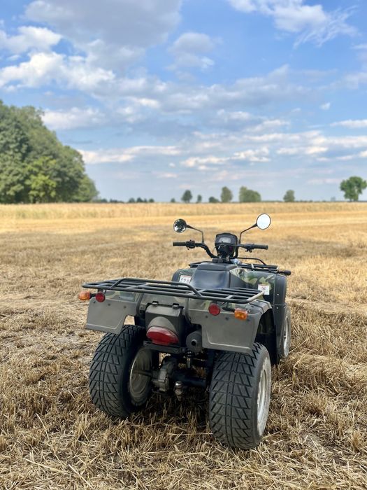 Quad //Bashan//250//Wał kardana// DOKUMENTY// TRANSPORT//Linhai,Loncin
