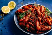 Раки Софіївська Борщагівка