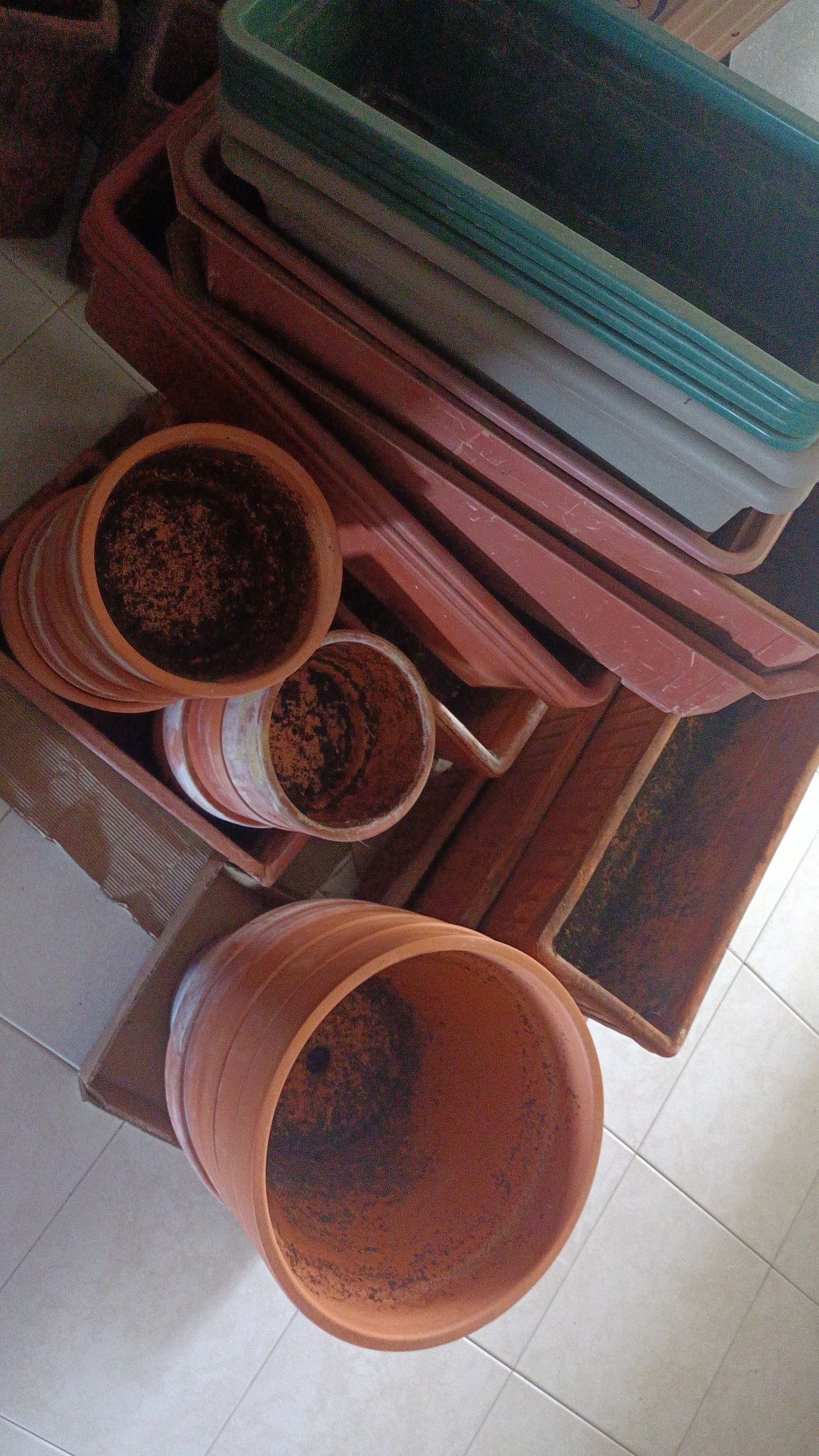Conjunto vários vasos