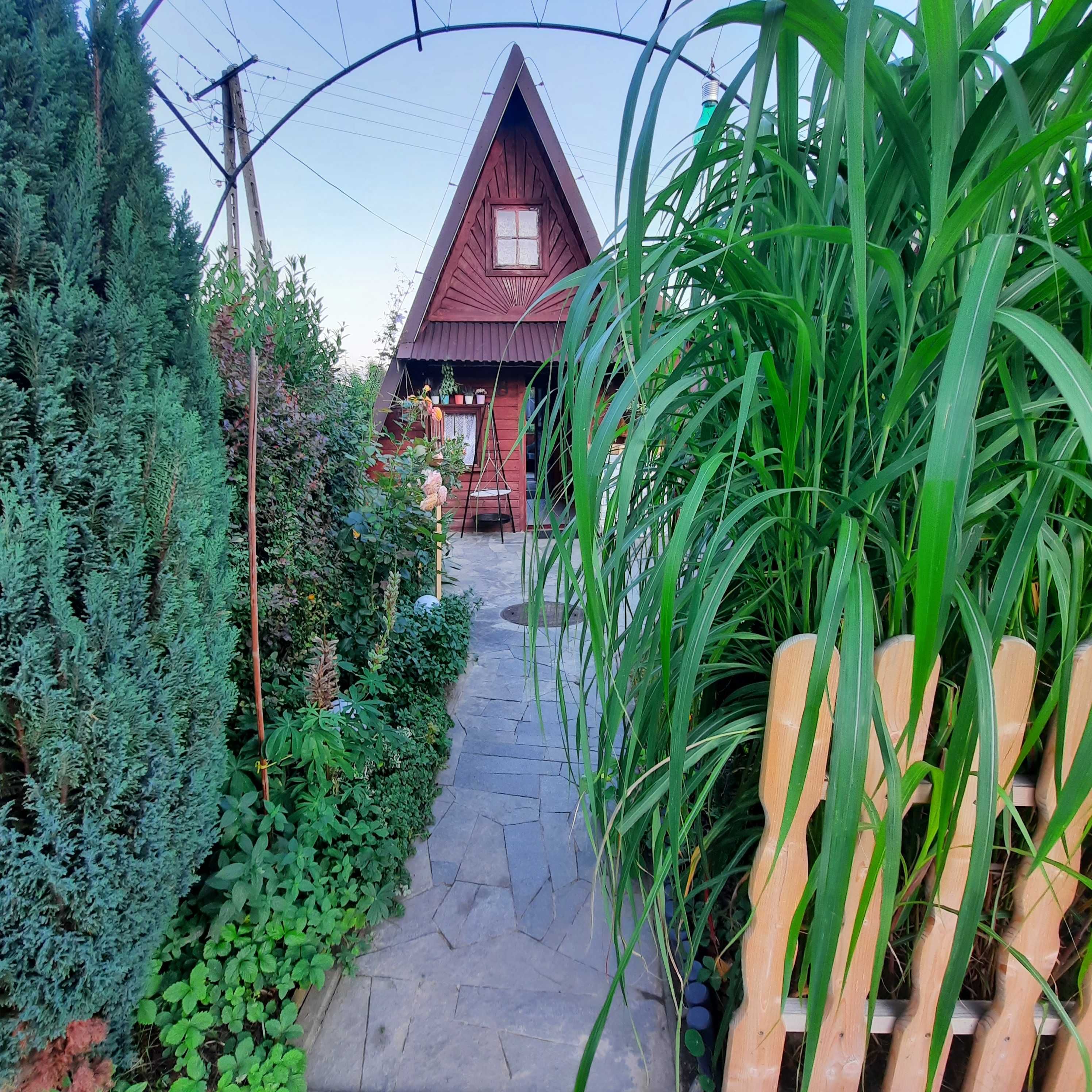 Domek letniskowy