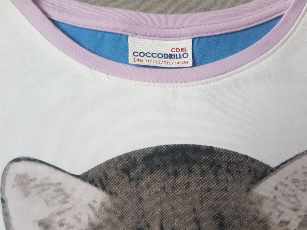 Bluzka t-shirt koszulka Coccodrillo r.146 kotek w okularach