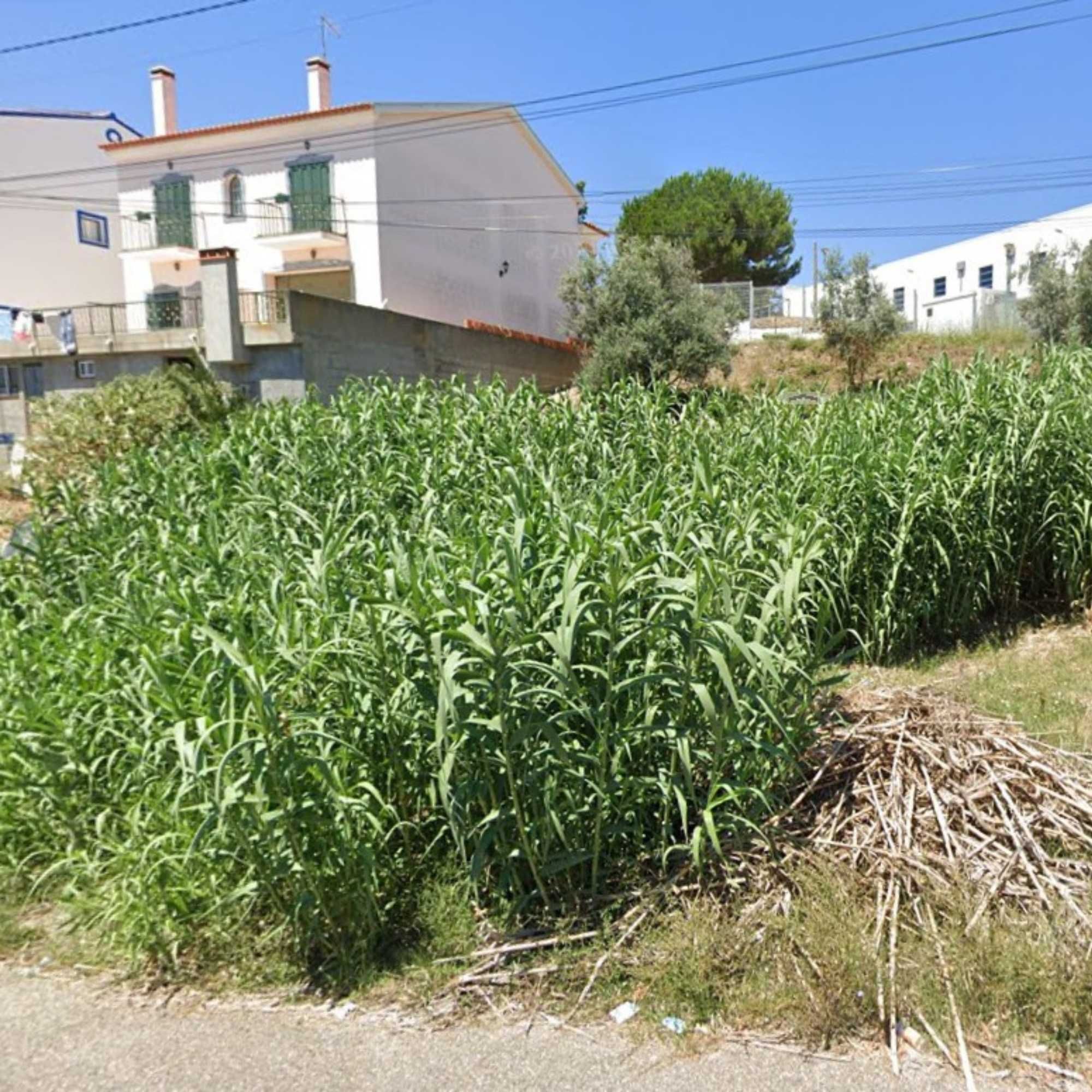 Terreno Urbano à Venda na Chamusca – 350m² em Zona Tranquila