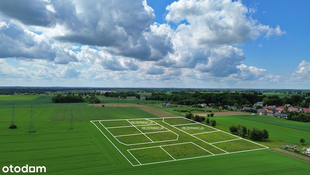 Działki w Nowych Bielicach 80 zł/ m²