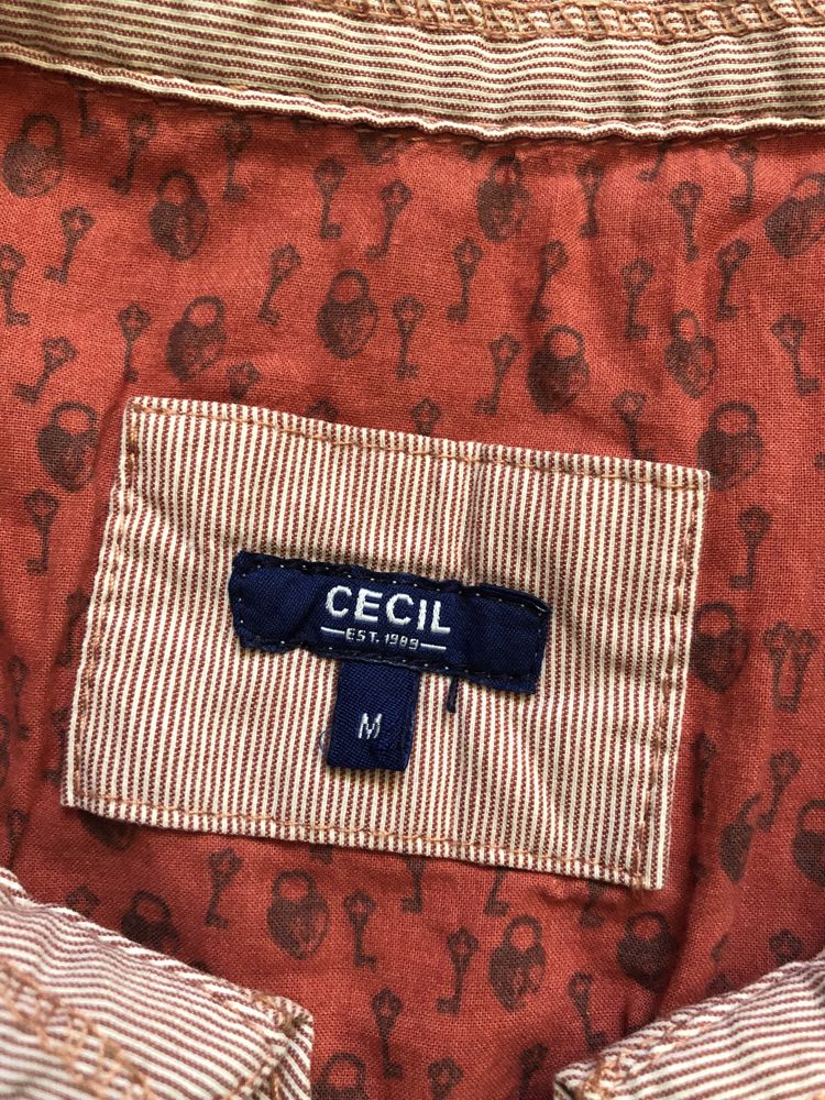 Koszula w drobne paski Cecil M