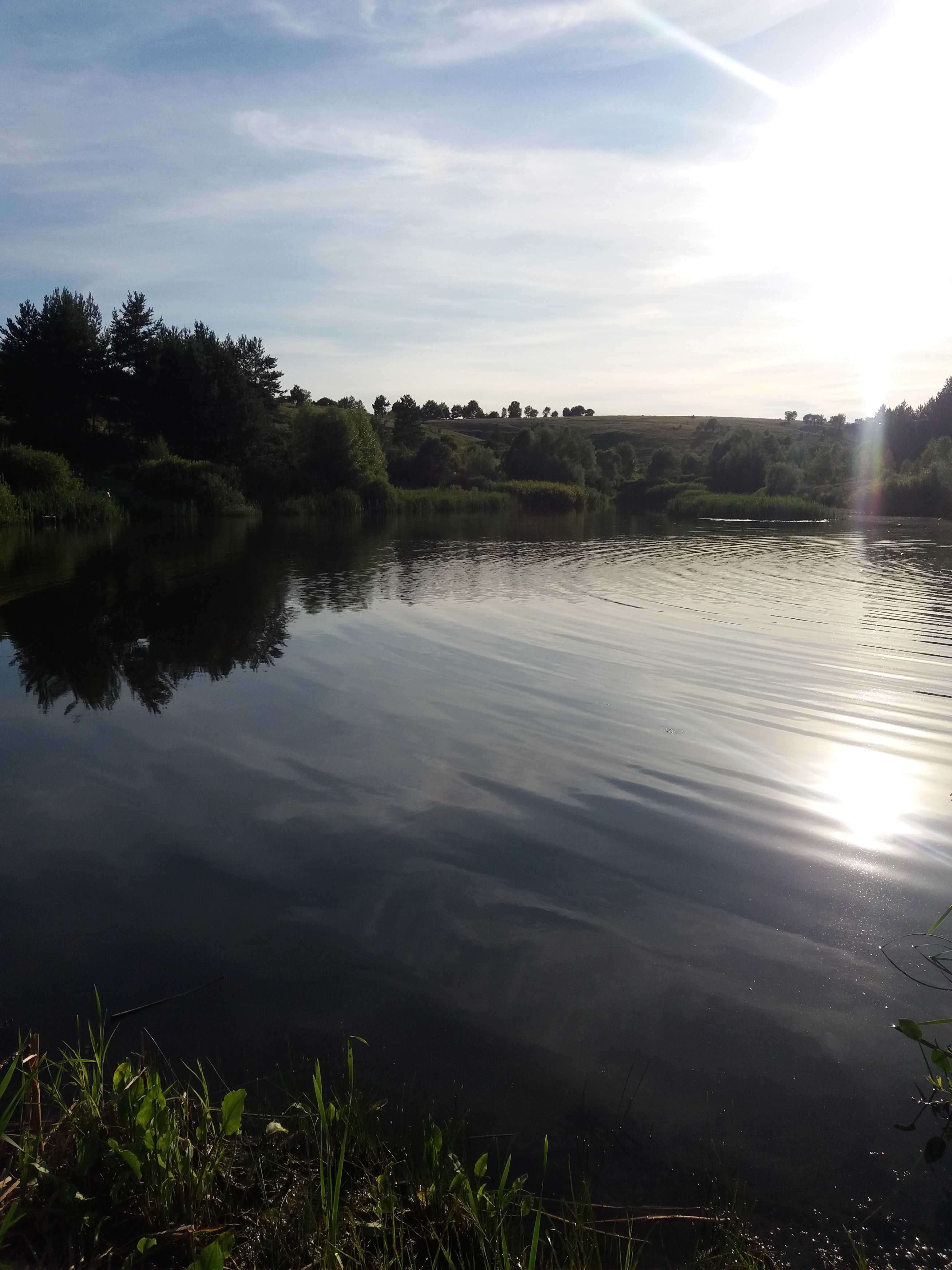 Дача біля води + ліс.