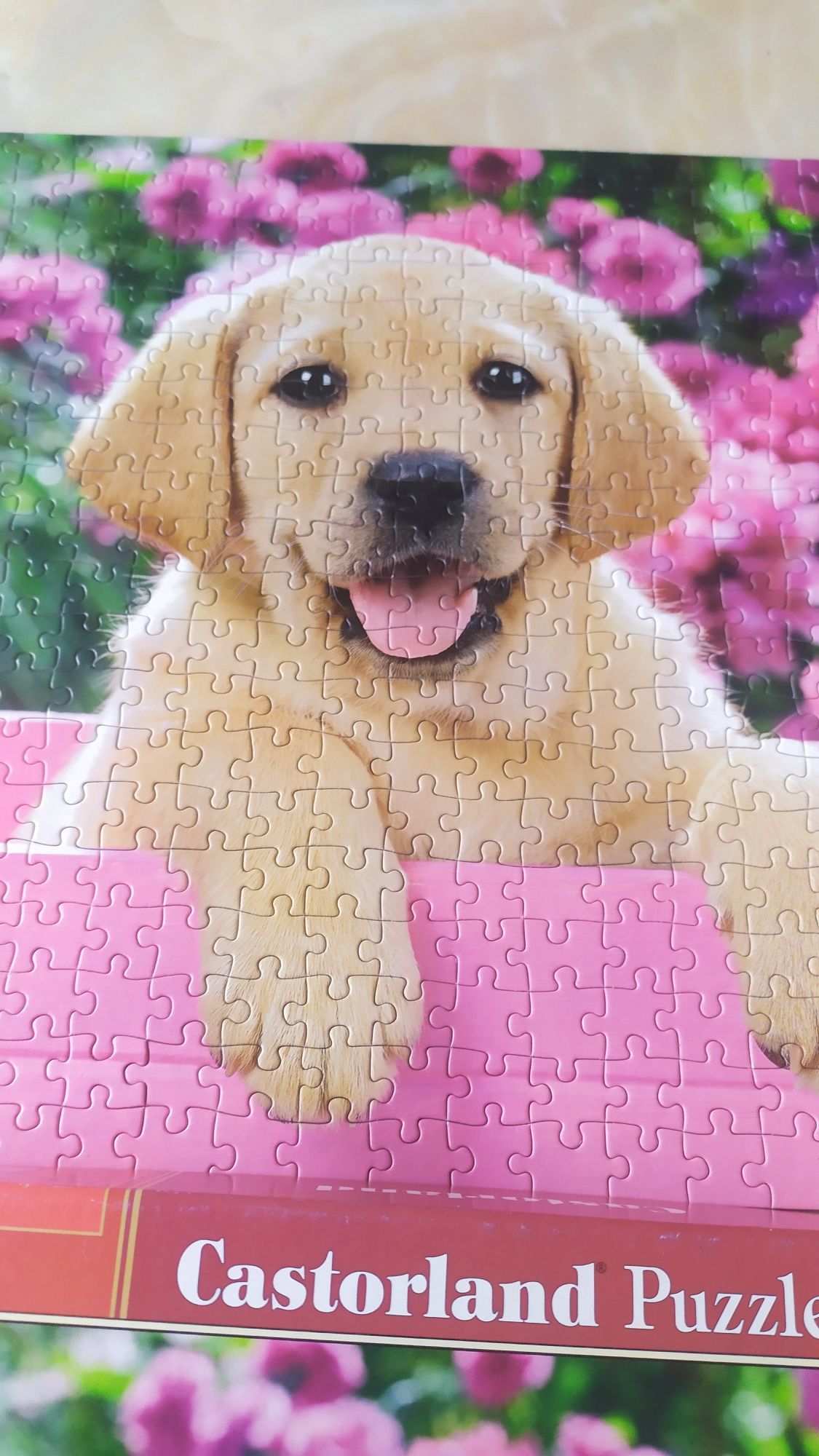 SG puzzle 500 z pieskiem , puzzle z psem