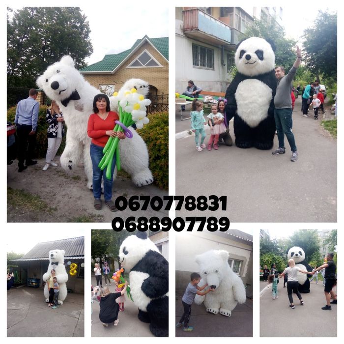 Мишка аниматор поможет сделать сюрприз