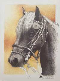 Pintura Cavalo João Parrinha 2002