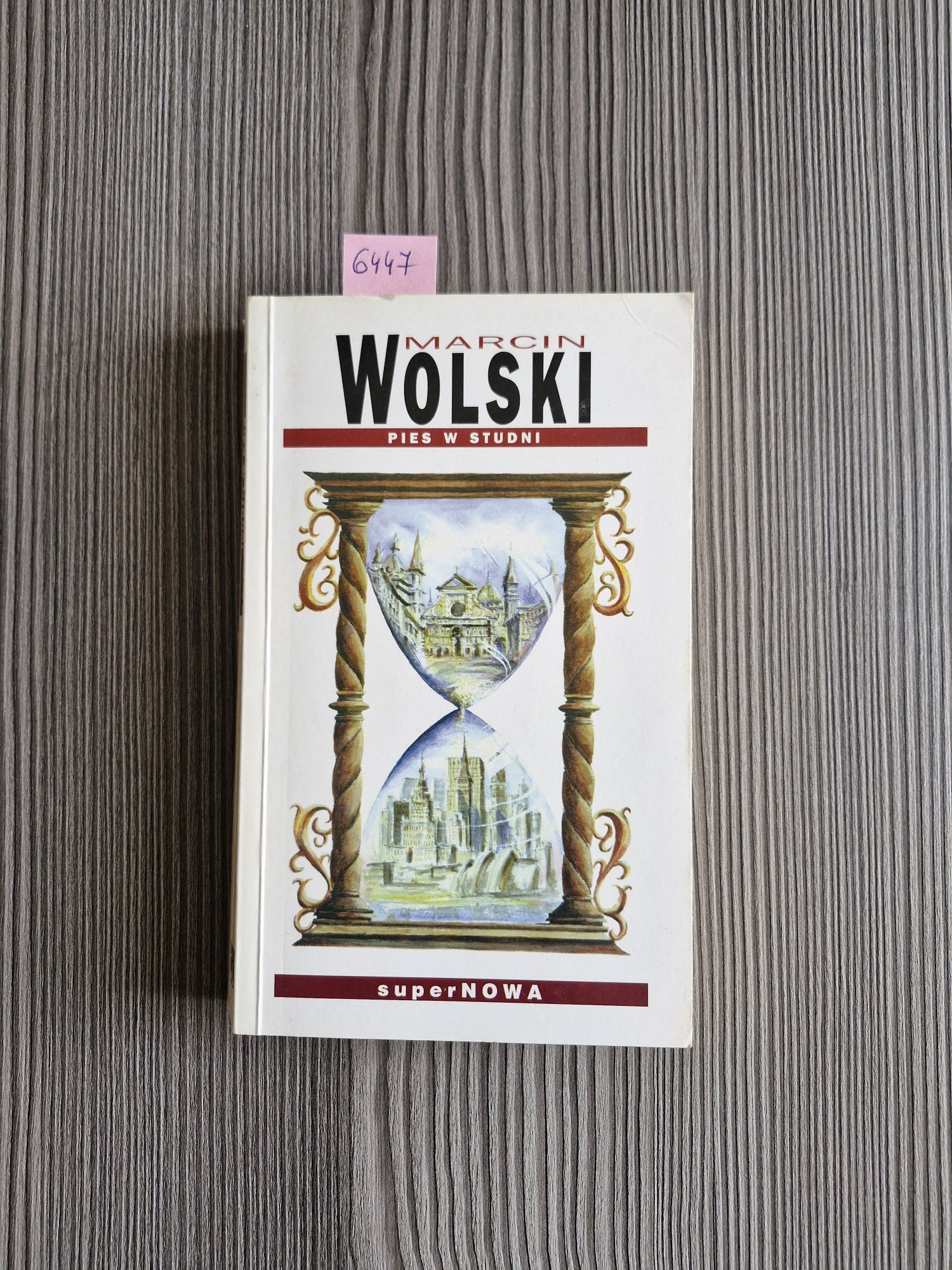6447. "Pies w studni" Marcin Wolski