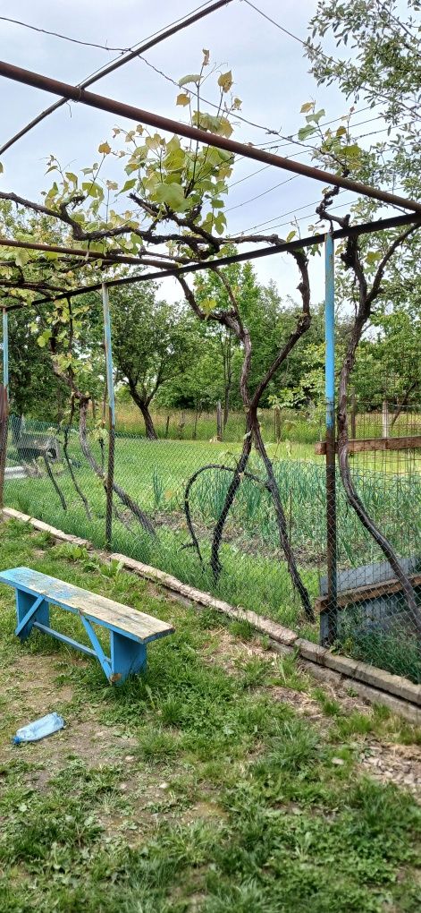 Продається будинок