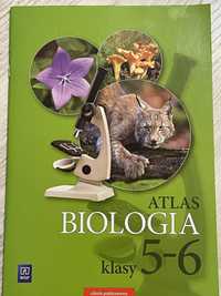 Biologia atlas 5-6