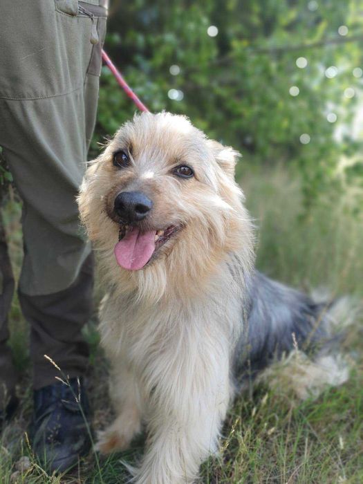 TOLA i MEDI szukają wspólnego domu