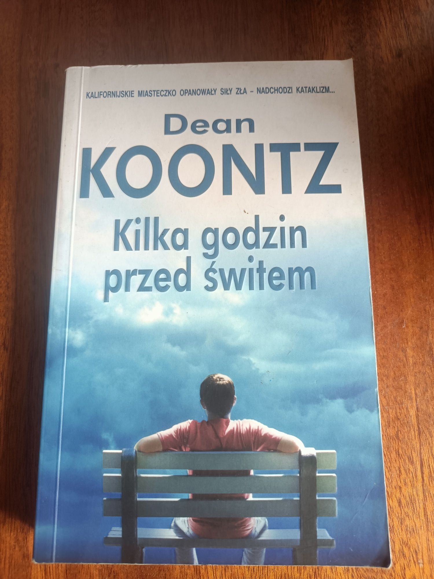 Książka kilka godzin przed świtem