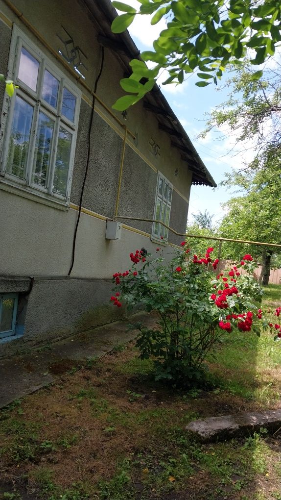 Будинок з господарськими будівлями.