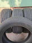 225/55 R18 98V Tigar Summer SUV комплект 4 штуки летней резины SERBIA