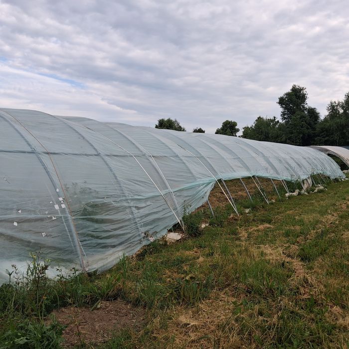 Tunel ocynk konstrukcja z folią