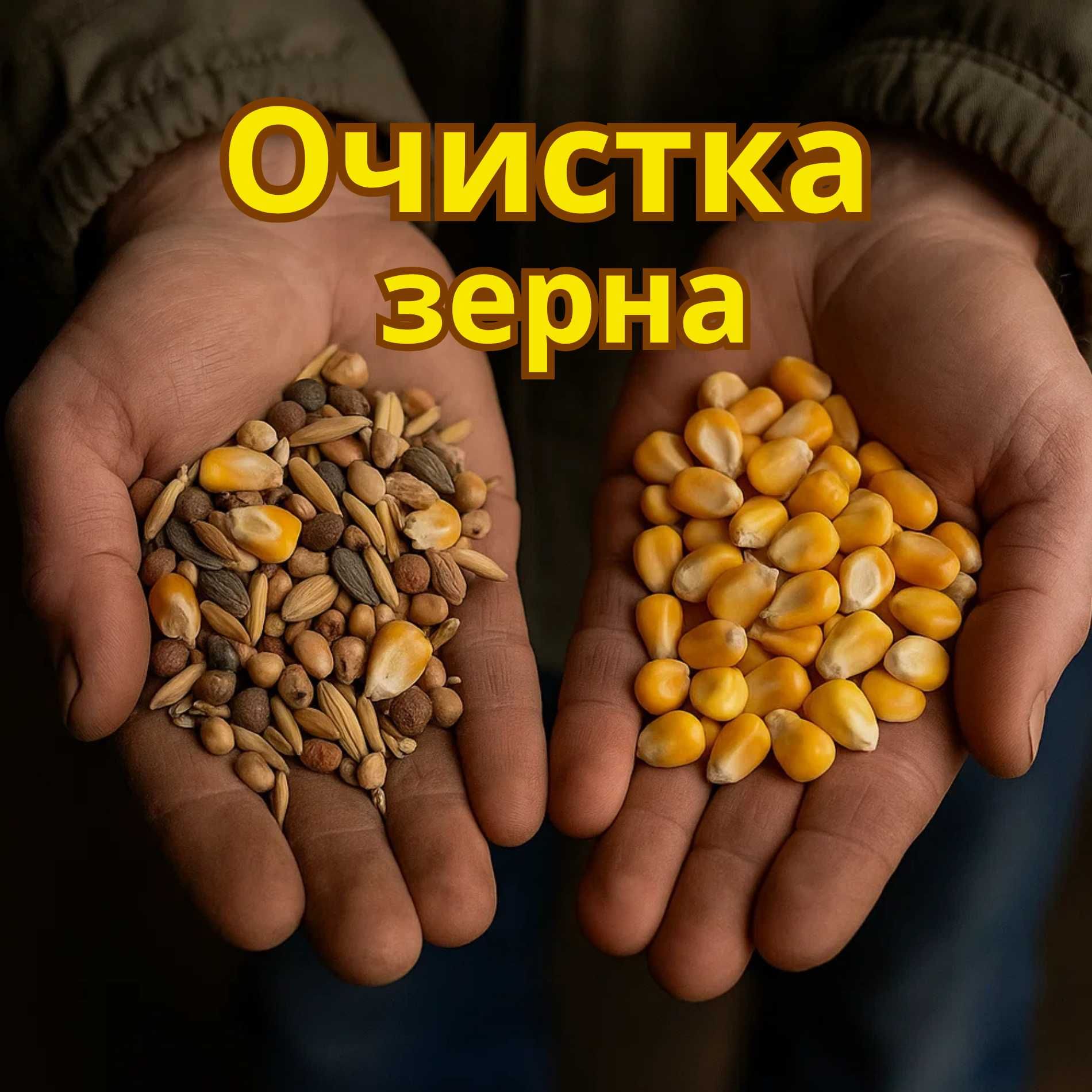 Сушіння зерна, зернобобових.Очищення.Зберігання.Елеватор Київська обл.