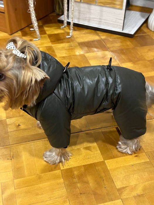 Зимовий комбінезон для собак. Зимний комбинезон для собак