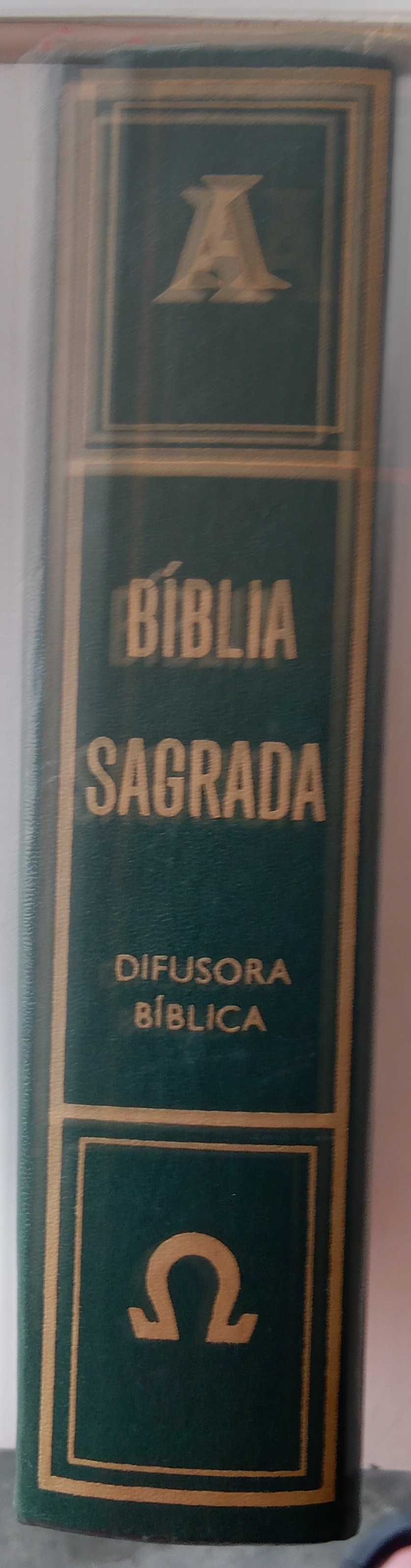A Bíblia Sagrada - - - - - Livro