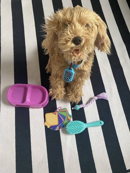 Piksel / Karmel Piesek interaktywny.