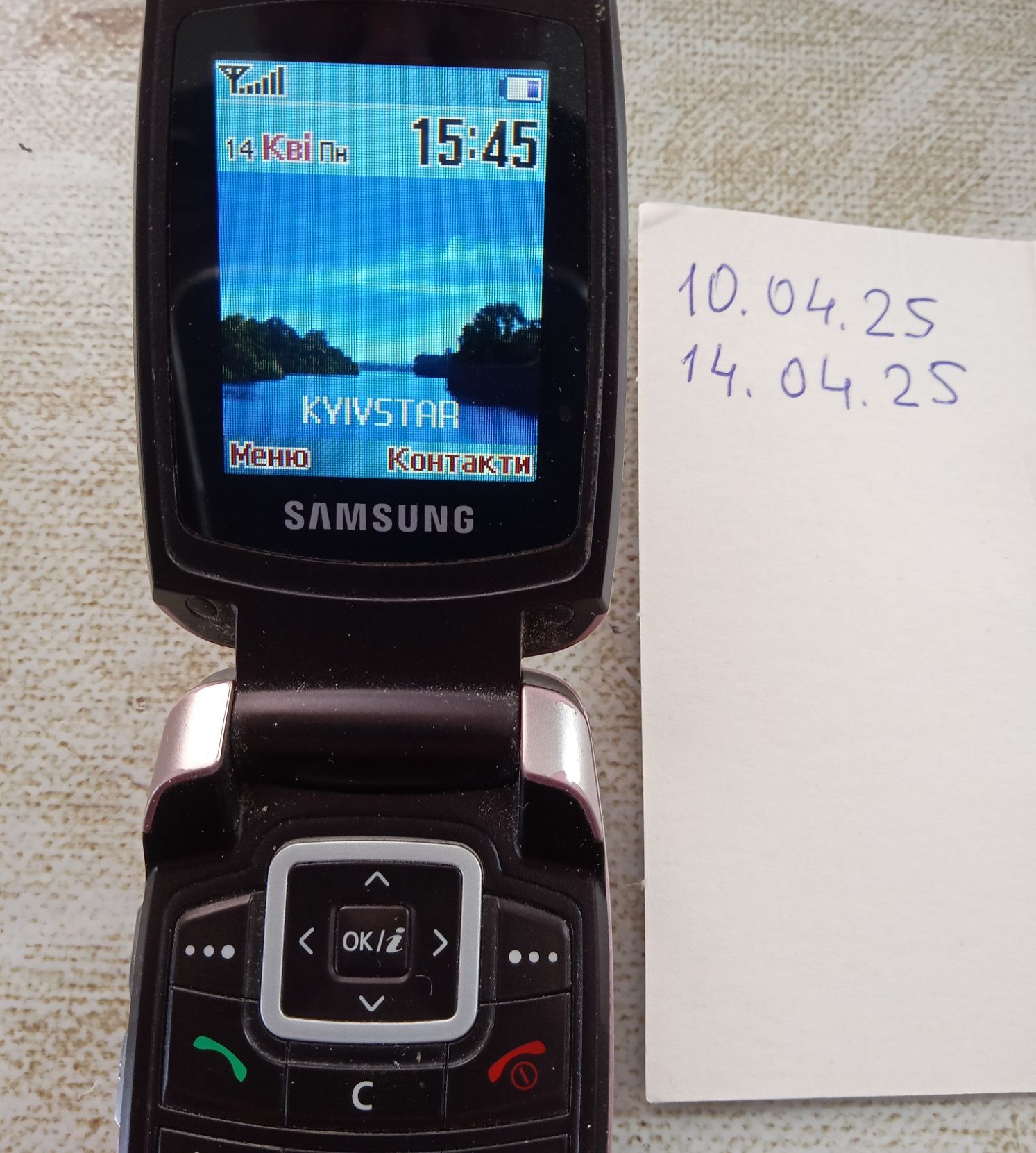 Samsung sgh-x500