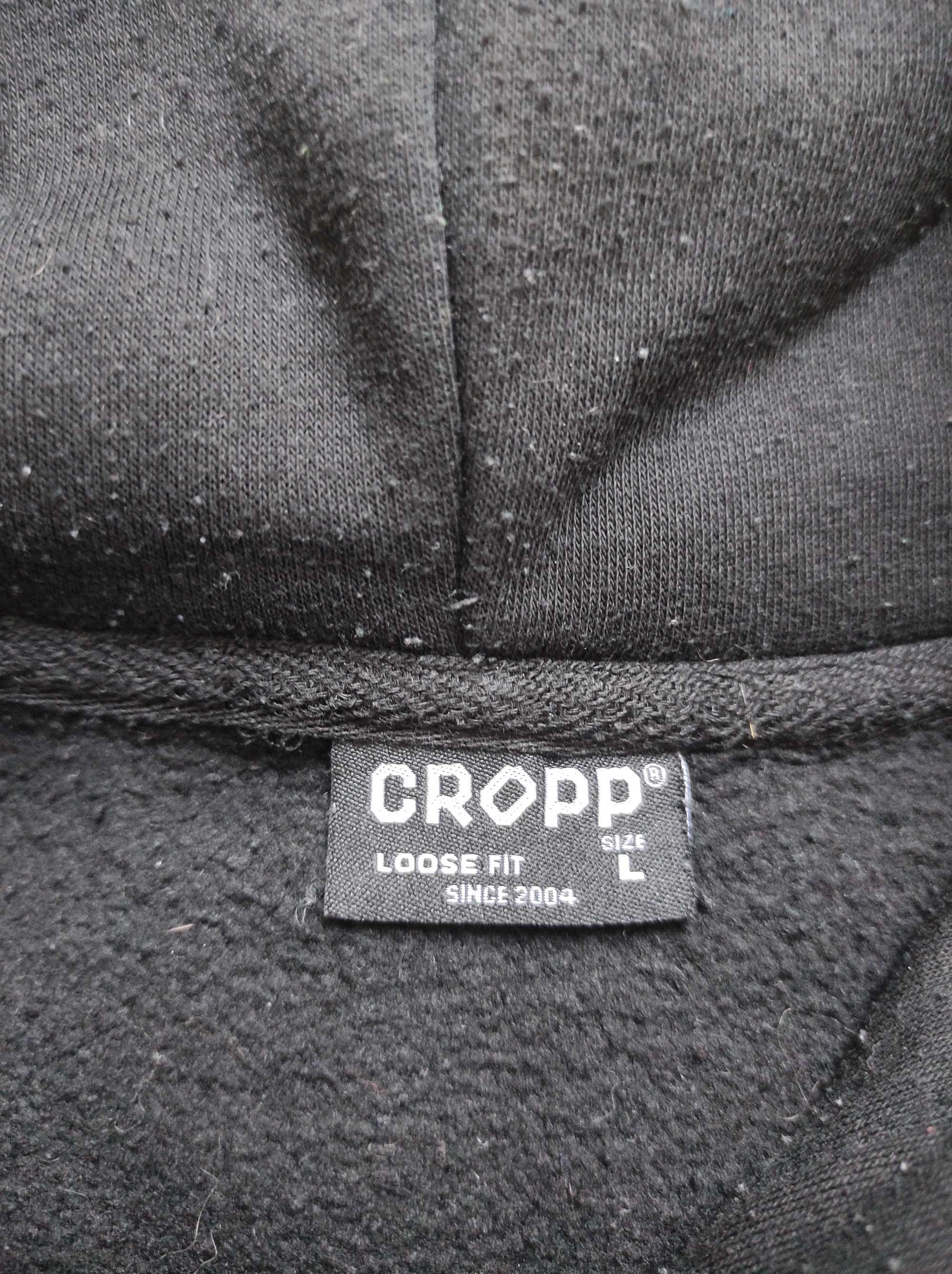 Bluza męska młodzieżowa Cropp r.L