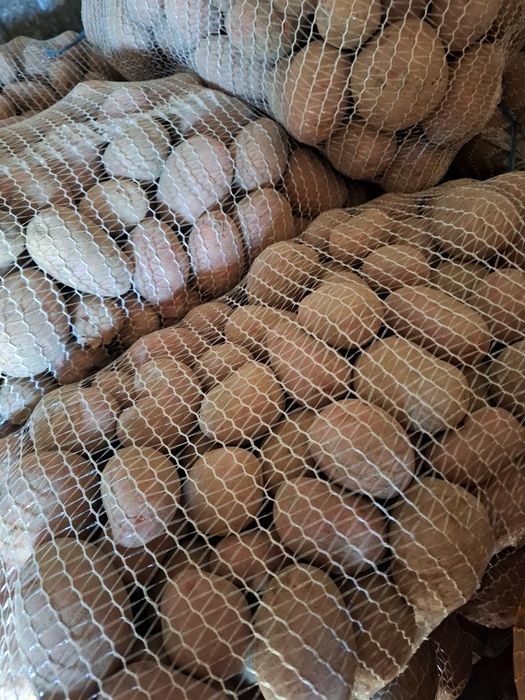 Ziemniaki jadalne Ricarda worki 15kg z opcją przechowania zimowego