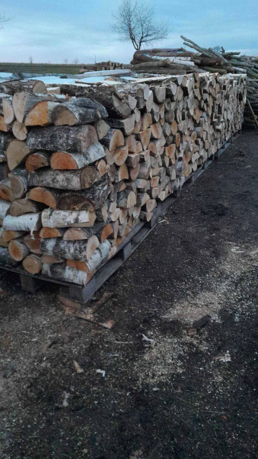 Drewno kominkowe