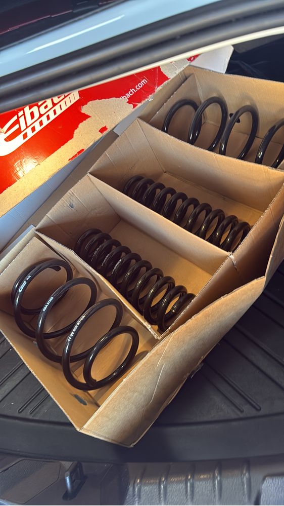 Molas eibach serie 2