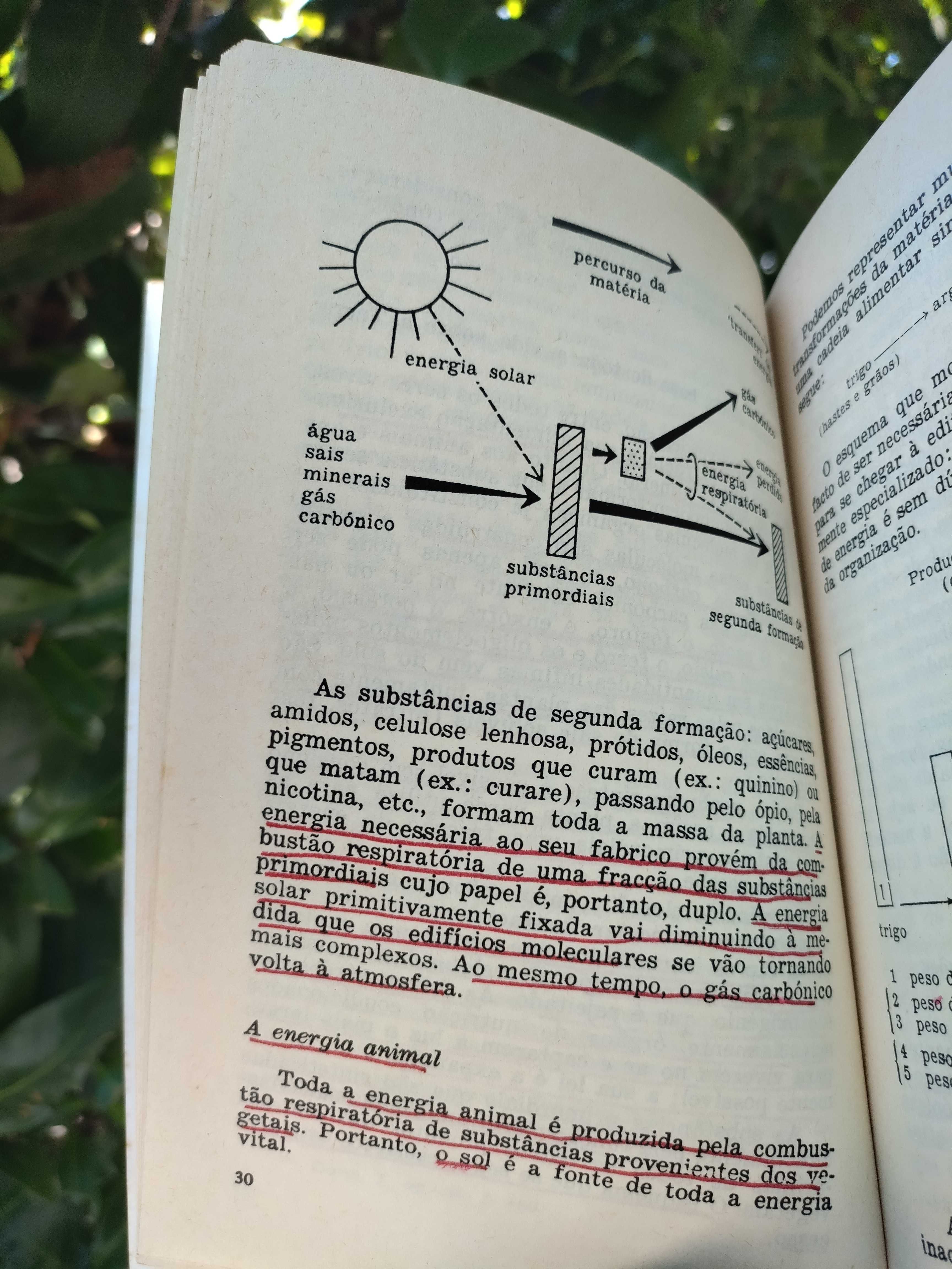 A Ecologia na Escola (Jeanne Daubois)