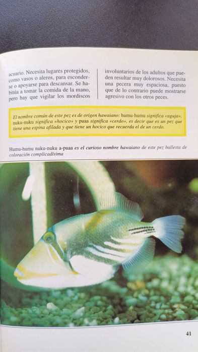 Livro de aquariofilia de água salgada espanhol