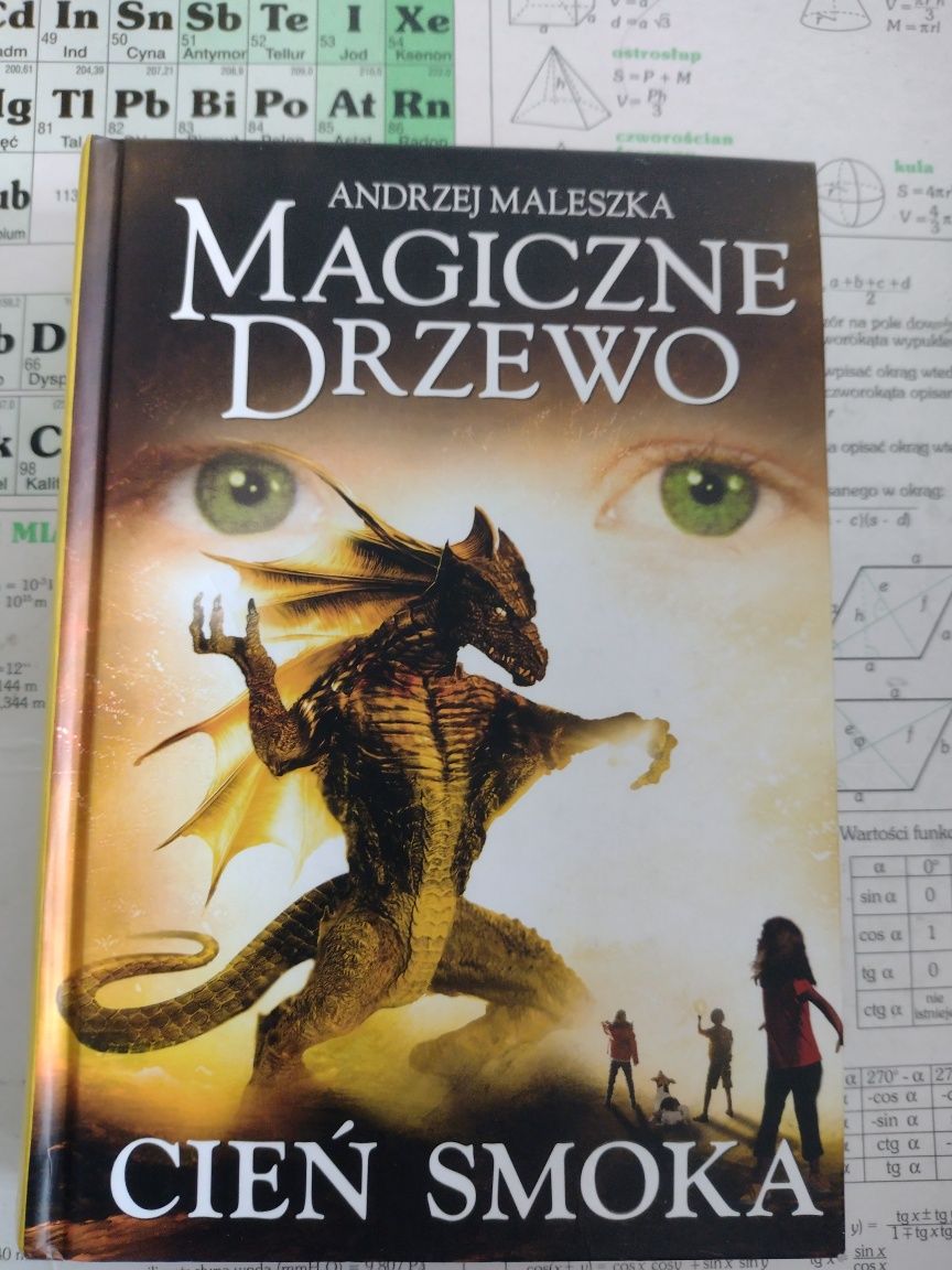 Magiczne drzewo - Cień smoka, Andrzej Maleszka