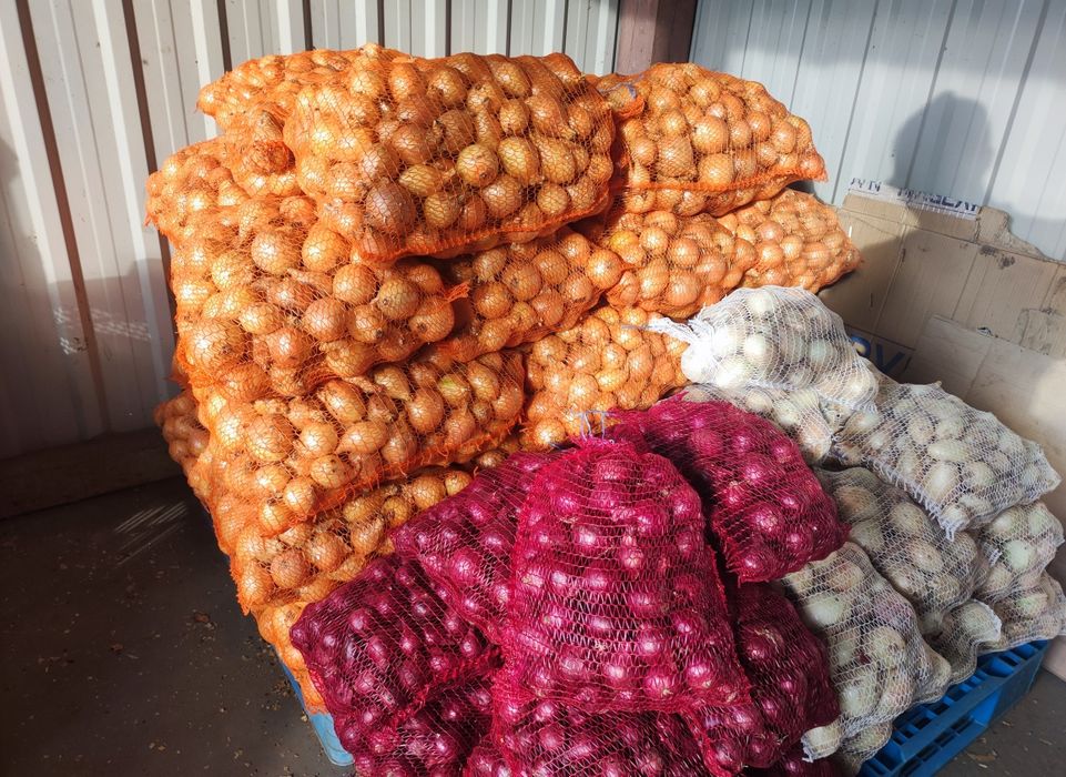 Warzywa prosto z pola (możliwa wysyłka)