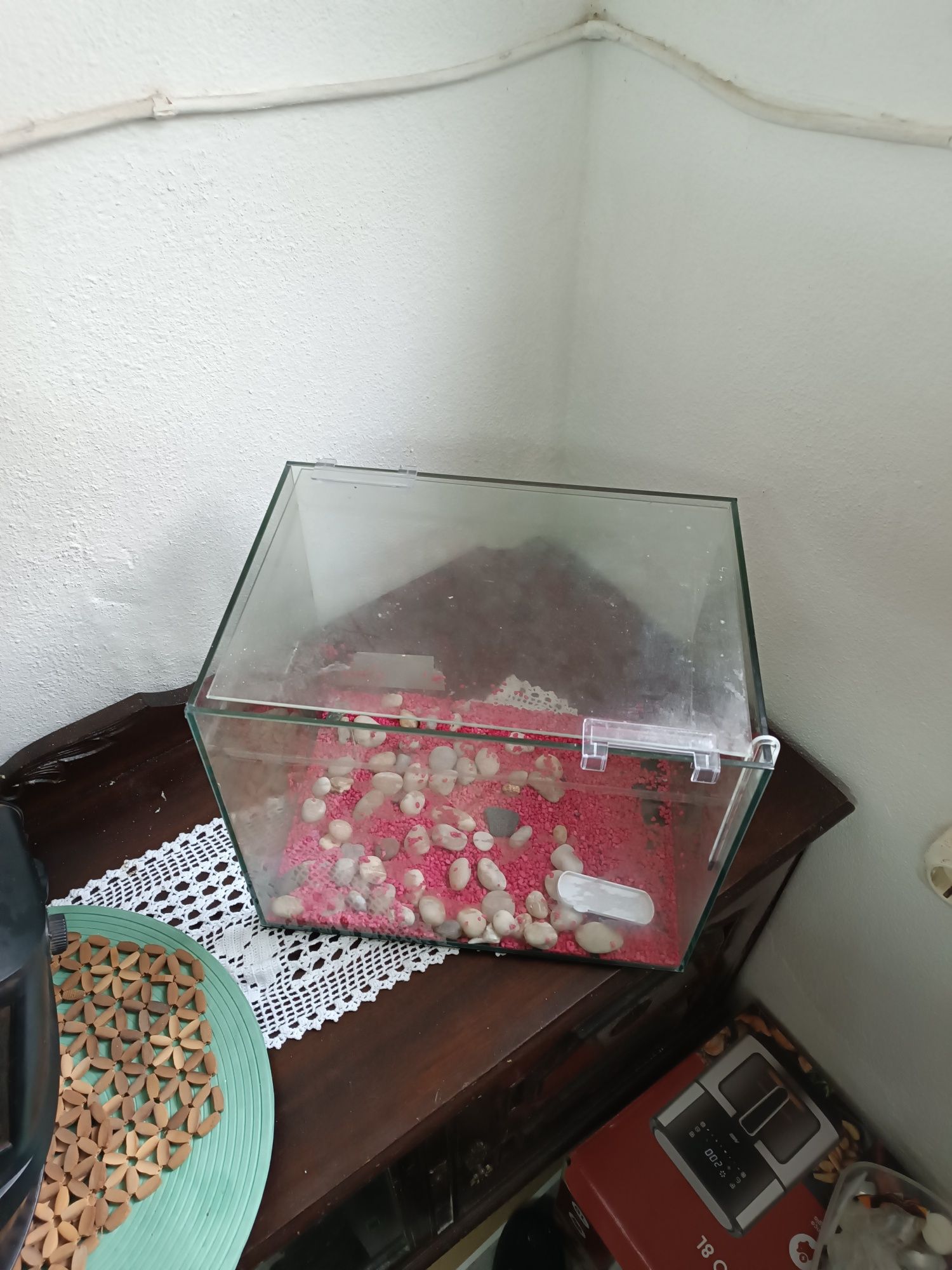 Aquario semi-novo