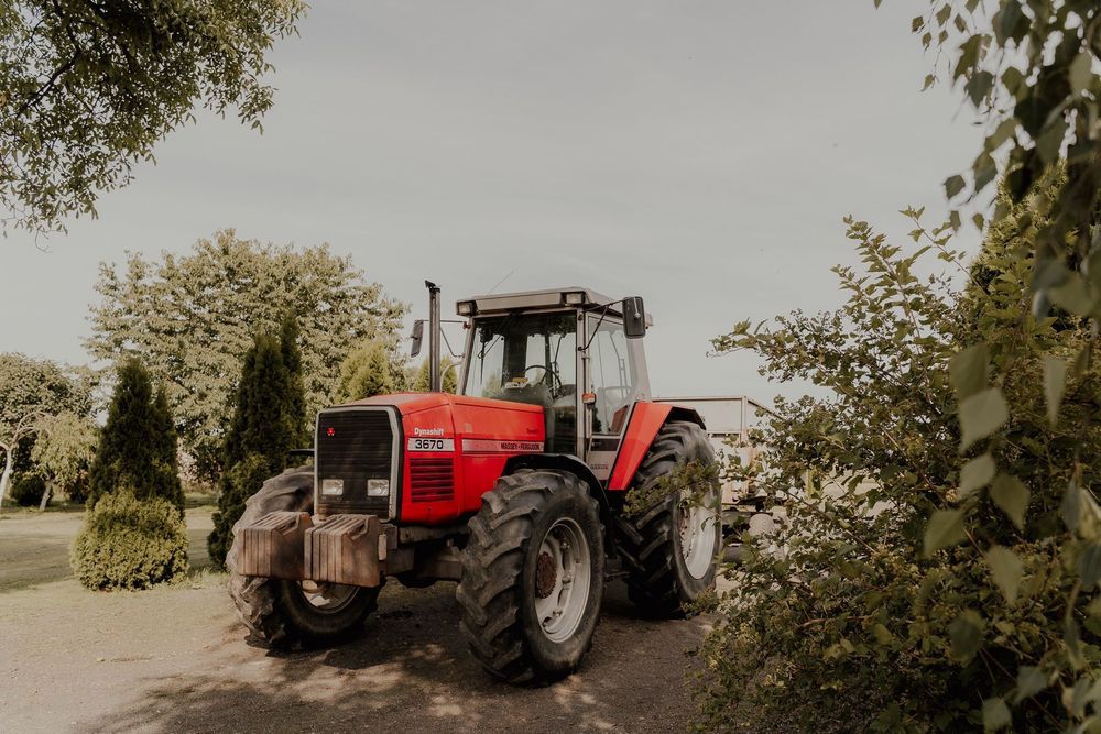 Massey Ferguson 3670  Massey Ferguson 3670