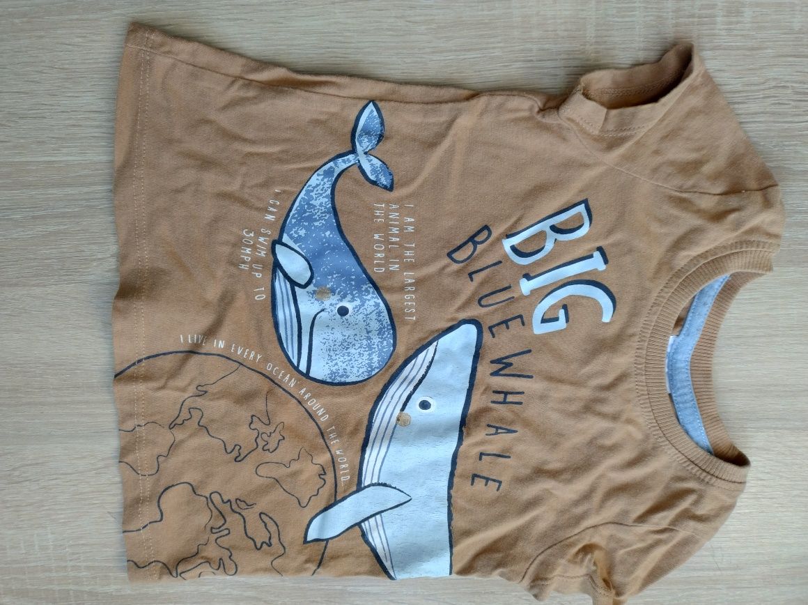 Ubrania letnie rozmiar 80/86
