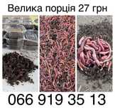 Червяк (черви та хробаки) на рибалку 15г 27грн