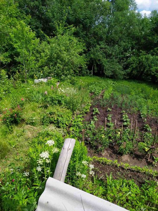 Продам житловий будинок м. Монастириська, 87.8 м2, з ділянкою та садом