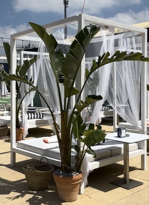 8 plantas 2,5 metros e 3,5 metros de altura