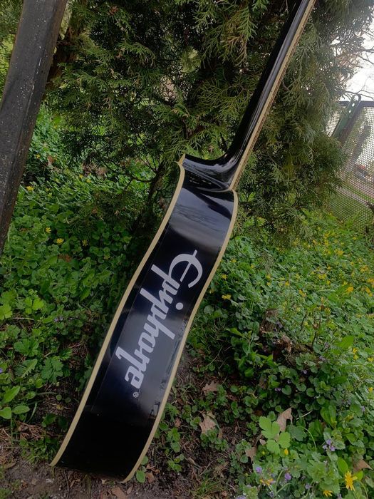 Гітара Epiphone DR-100 EB