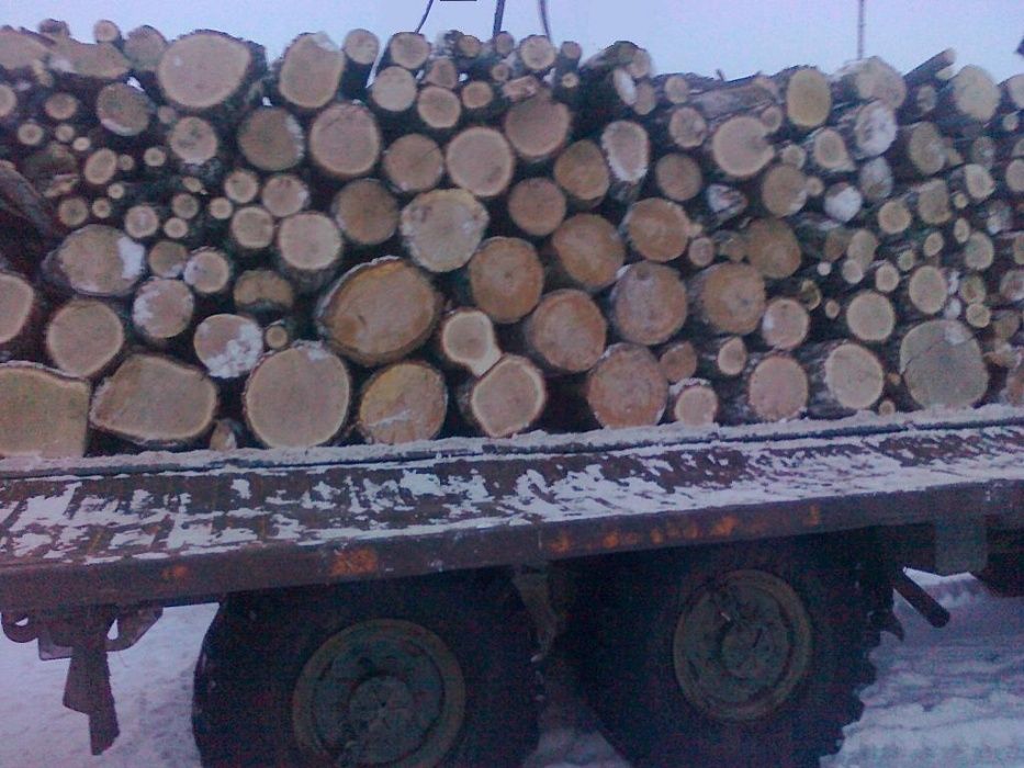 Дрова дуб клен сосна береза акація вільха