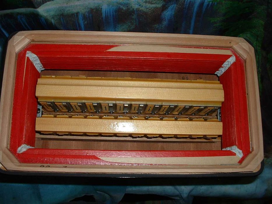 Acordeao Avenda G .748