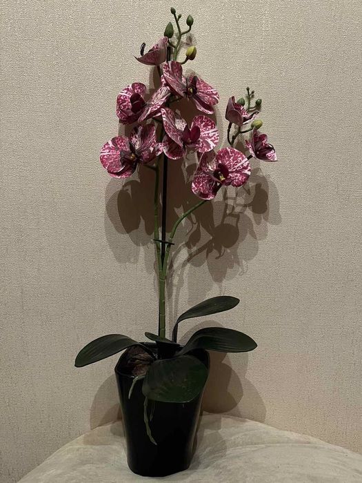 Орхидея фаленопсис искусственная композиция в горшке .Кошка статуэтка