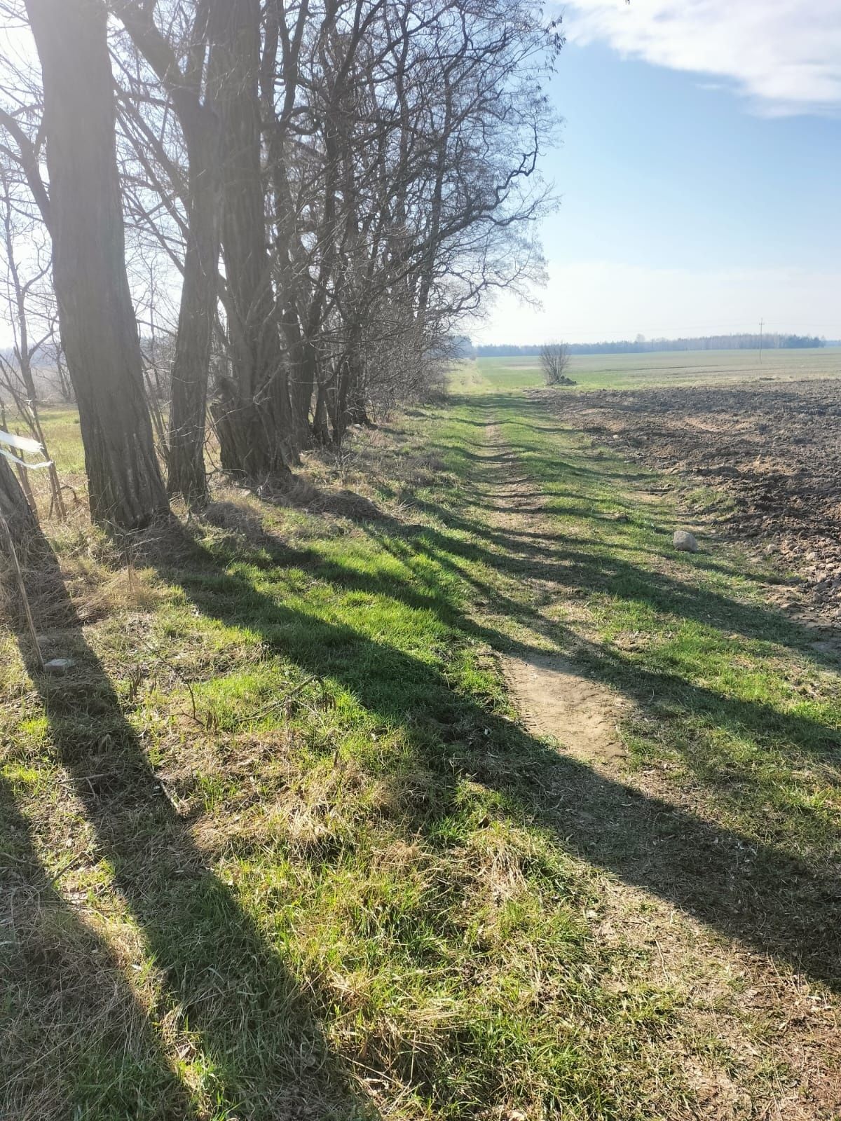 Działka budowlana na sprzedaż