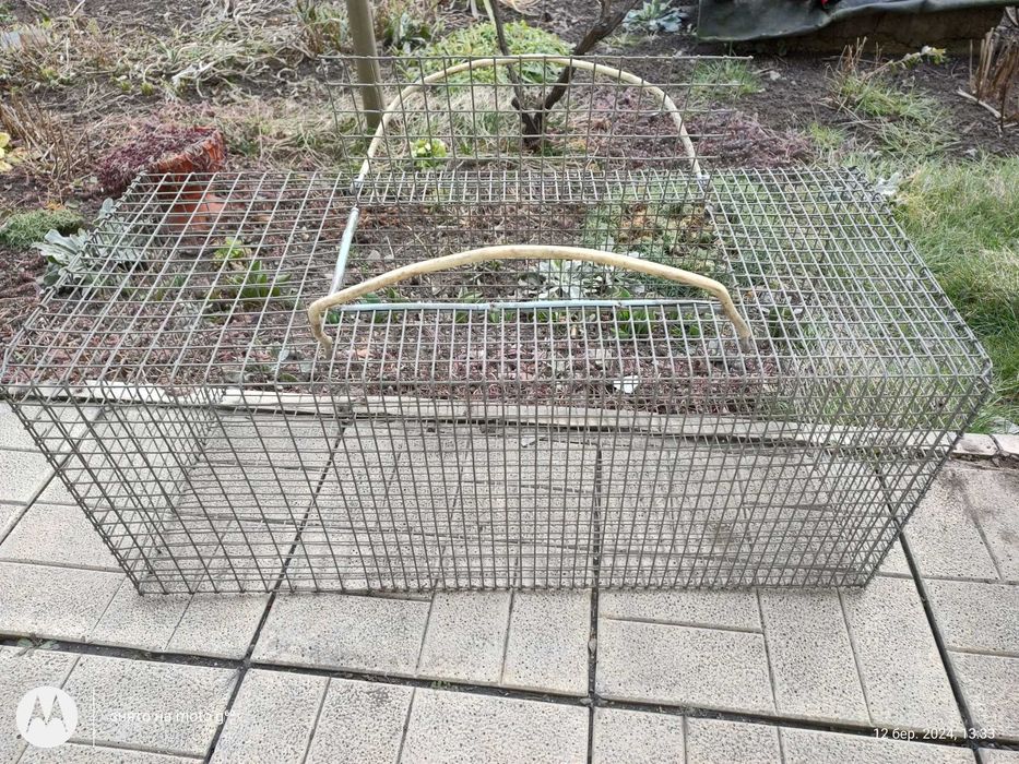 Клітка для кролів