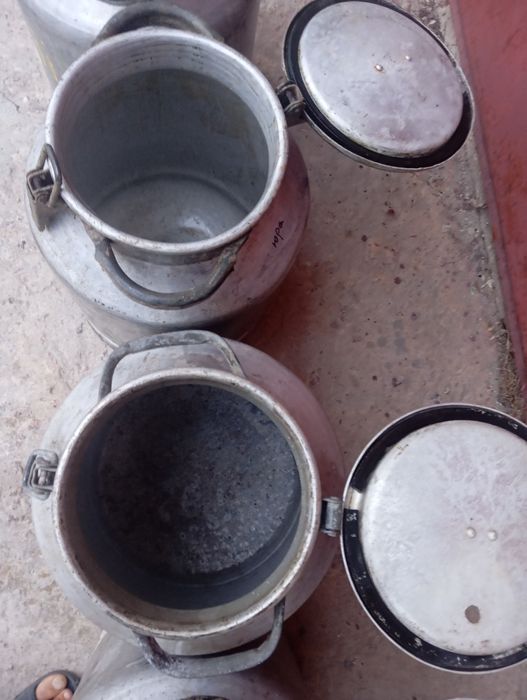 Продам Молочний бідон