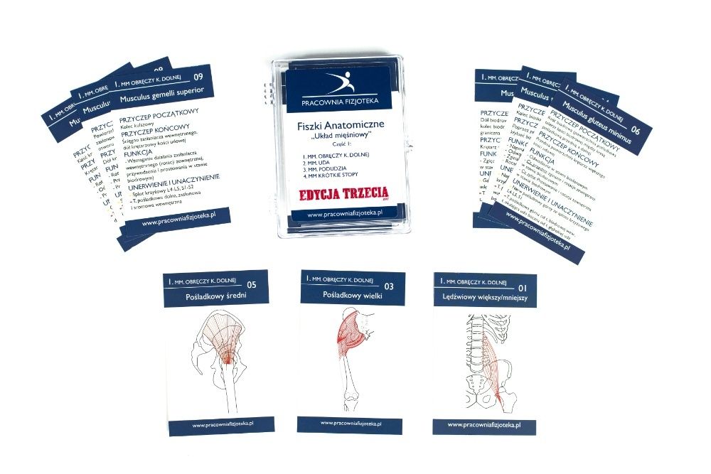 Karty/fiszki anatomiczne. 130 mięśnie - KOMPLET!
